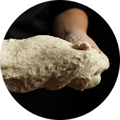 Professionelt bagværk